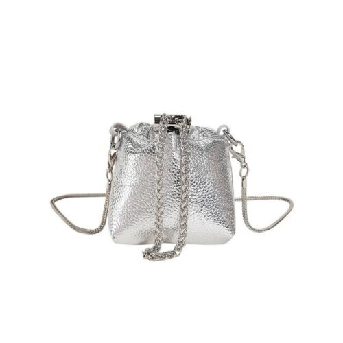 Metallic Silver Mini Crossbody Elegant Clutch/Purse/Bag