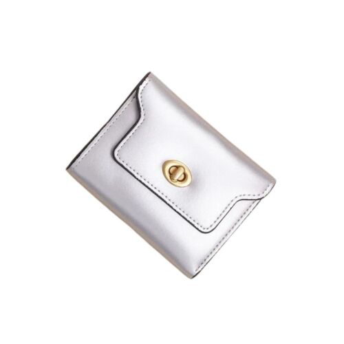 Silver Solid With Gold Clasp Card Holder/ Wallet